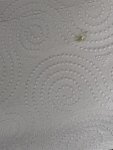 IMG_1772.jpeg