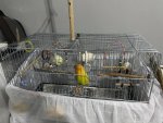 IMG_1227.jpeg