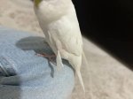 DF8514D7-BCE7-49BD-A66D-8E8E6D6302A0.jpeg