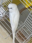 IMG_7814.jpeg