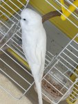 IMG_7813.jpeg