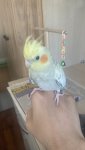 IMG_3782.jpeg