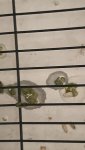 IMG_3883.jpeg
