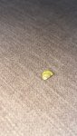 IMG_3888.jpeg
