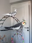 IMG_4239.jpeg