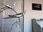IMG_4235.jpeg