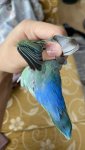 IMG_1784.jpeg