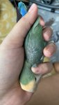 IMG_1783.jpeg