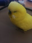 IMG-20250823-WA0010.jpeg