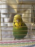 IMG_6632.jpeg