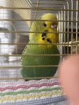 IMG_6633.jpeg