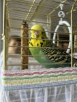 IMG_6630.jpeg