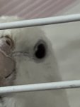 IMG_0588.jpeg