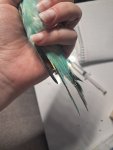 20250827_005153.jpg