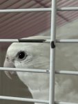 IMG_0587.jpeg