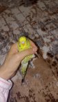 IMG_20250827_162926.jpg