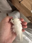 IMG_7839.jpeg