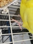IMG_2003.jpeg