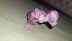 IMG_20250829_000538.jpg
