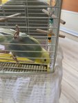 IMG_3535.jpeg