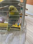 IMG_3534.jpeg