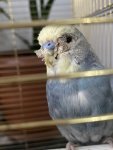 IMG_0022.jpeg