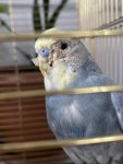 IMG_0025.jpeg