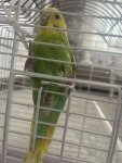 IMG_4079.jpeg