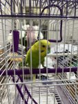IMG_4108.jpeg