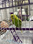 IMG_4109.jpeg
