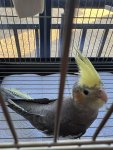 IMG_5227.jpeg