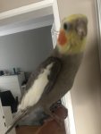 IMG_5576.jpeg
