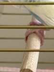IMG_2507.jpeg