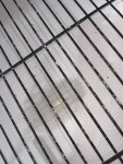 IMG_5933.jpeg