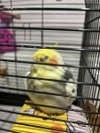 IMG_5936.jpeg