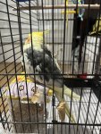 IMG_5937.jpeg
