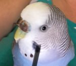 IMG_1409.jpeg