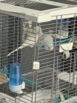 IMG_5006.jpeg