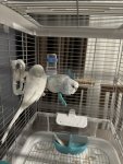 IMG_5005.jpeg