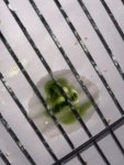 IMG_5958.jpeg