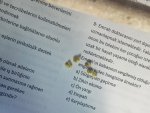 WhatsApp Görsel 2025-09-05 saat 10.28.43_84edd3f3.jpg