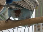 IMG_3213.jpeg