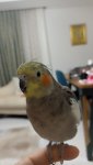 IMG_20250906_002204.jpg