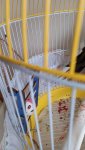 IMG-20250906-WA0008.jpeg