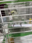 IMG_9987.jpeg