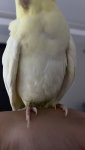 IMG_0351.jpeg