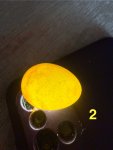 IMG_7526.jpeg
