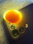 IMG_7527.jpeg