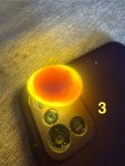 IMG_7528.jpeg