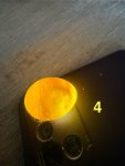 IMG_7529.jpeg